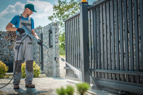 Best Graffiti Removal  in San Leandro, CA